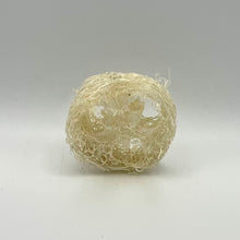Load image into Gallery viewer, Luffa Gourd