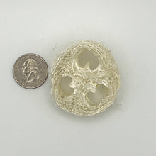 Load image into Gallery viewer, Luffa Gourd